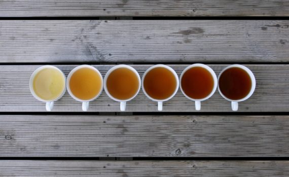 Les meilleurs thés pour la mémoire et la fonction cérébrale